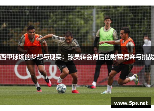 西甲球场的梦想与现实：球员转会背后的财富博弈与挑战